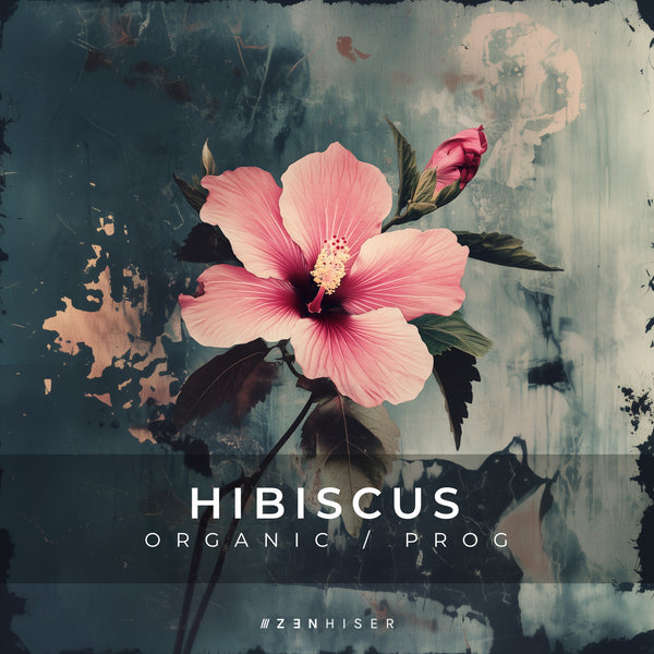 Hibiscus - Organic / Progressive